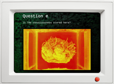 Qualia screenshot 4