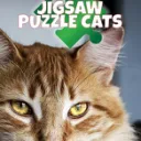 Jigsaw Puzzle Cats cover art