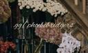 Discovery splash banner for Phoebe Bridgers Discord server