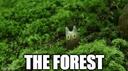 Discovery splash banner for The Forest Discord server