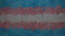 Discovery splash banner for Transgender Discord server