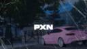 Discovery splash banner for © PXN - Officiel 👑 Discord server