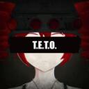 Discovery splash banner for T.E.T.O. Task Force Discord server