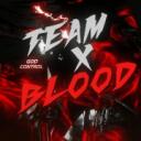 Discovery splash banner for TEAM BLOOD X Discord server