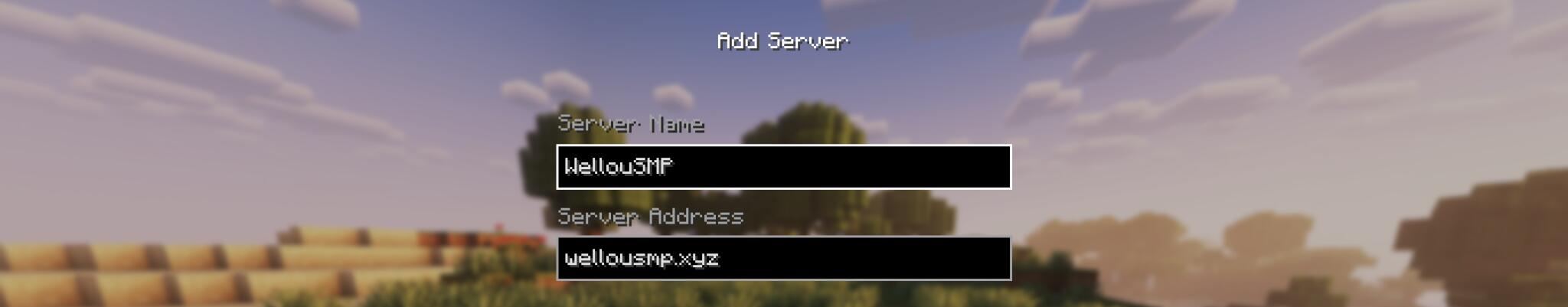 Discovery splash banner for WellouSMP Discord server