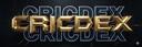 Discovery splash banner for Cricdex Discord server