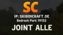Discovery splash banner for SkibidiCraft | Netzwerk Discord server
