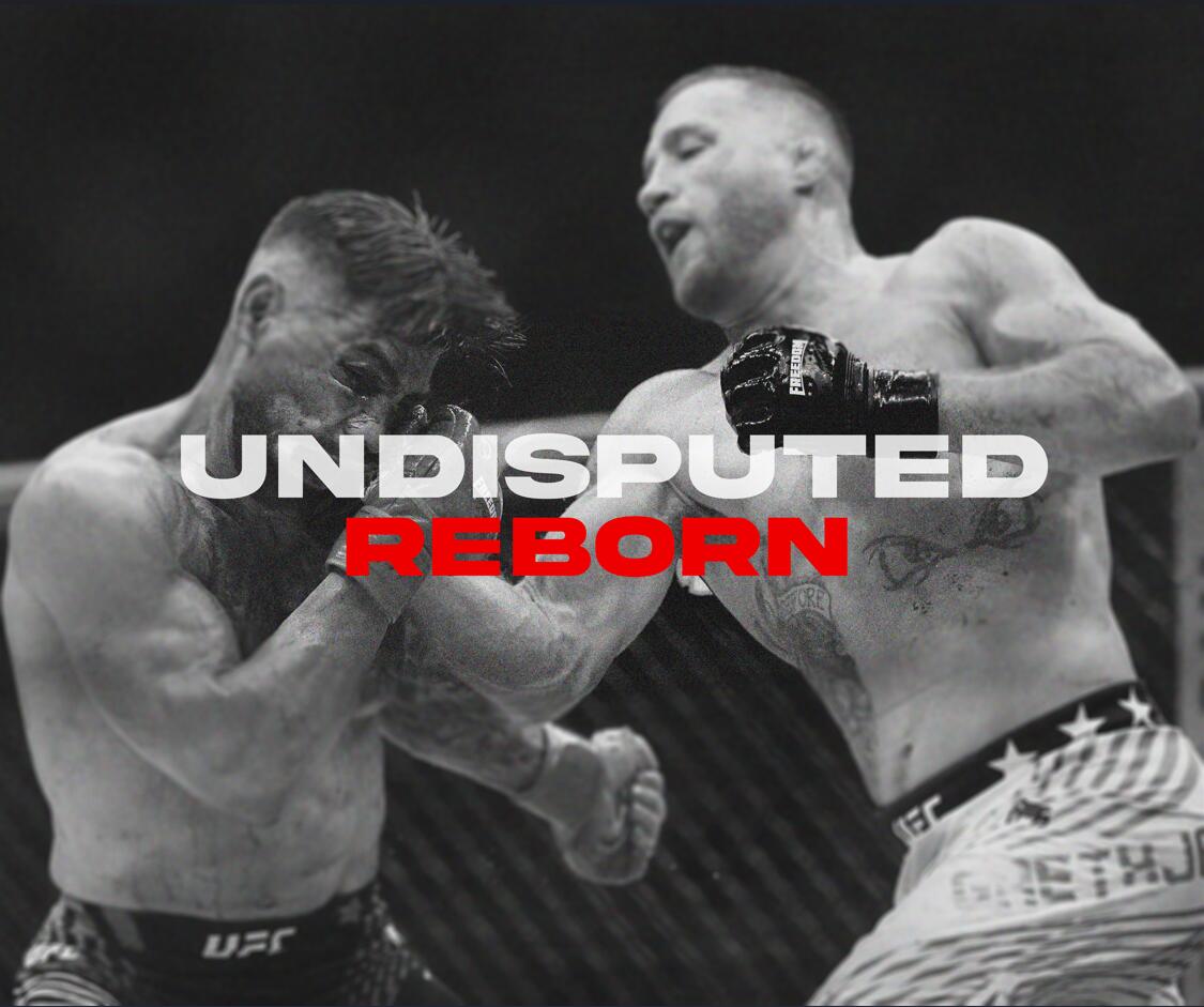 Discovery splash banner for UFC Undisputed Reborn Discord server