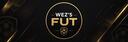 Discovery splash banner for Wez's FUT Discord server