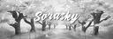 Discovery splash banner for Sorasky Discord server