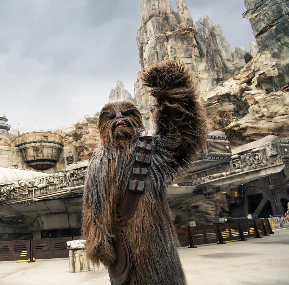 Discovery splash banner for WookieeNews Discord server