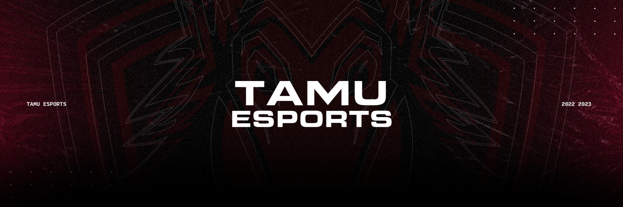 Discovery splash banner for Texas A&M Esports Discord server