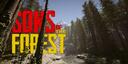 Discovery splash banner for The Forest Community Server Discord server