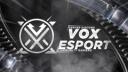 Discovery splash banner for VOX ESport ★ Discord server