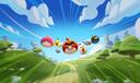 Discovery splash banner for Angry Birds Discord server