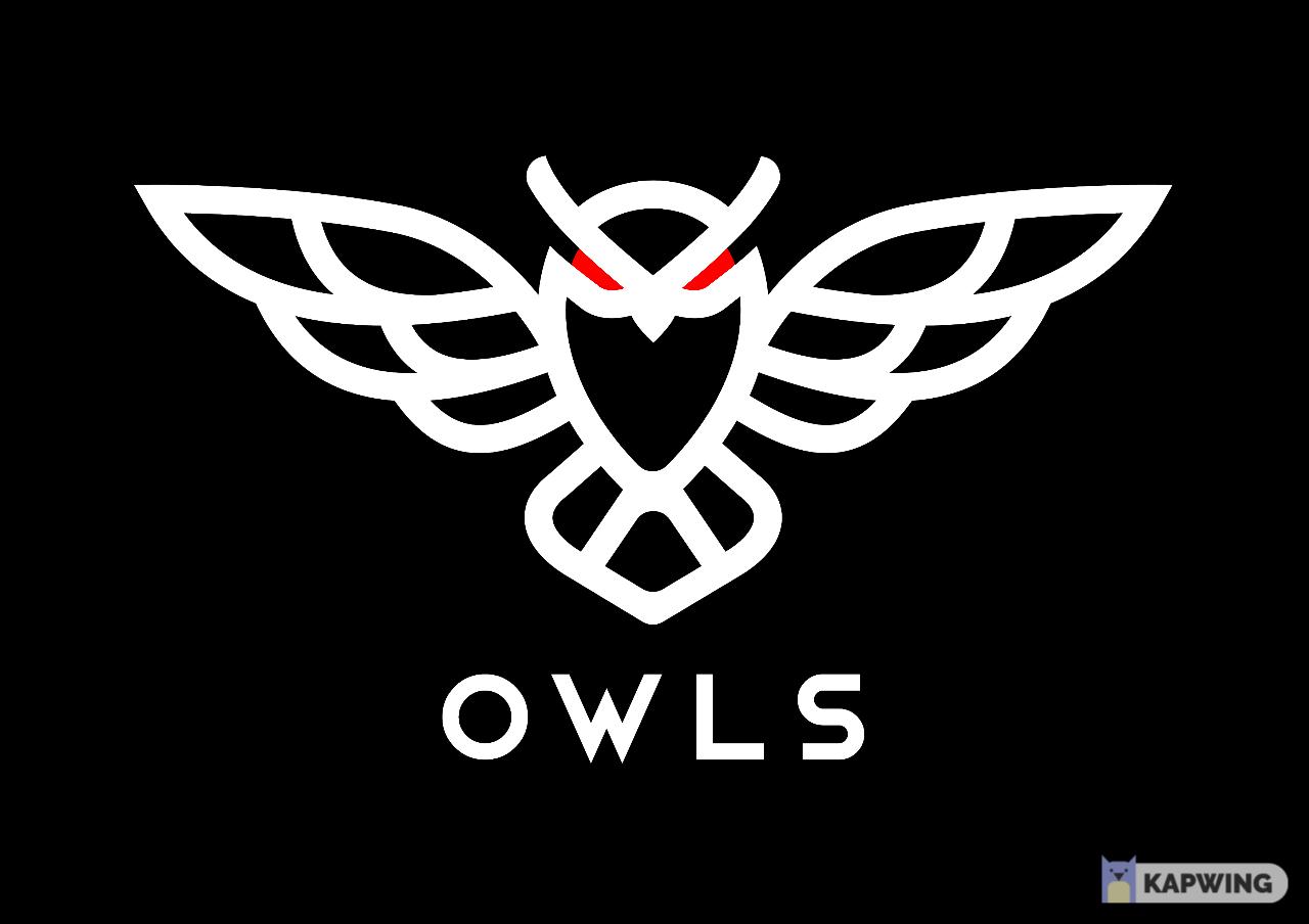Discovery splash banner for OWLS Capital Discord server