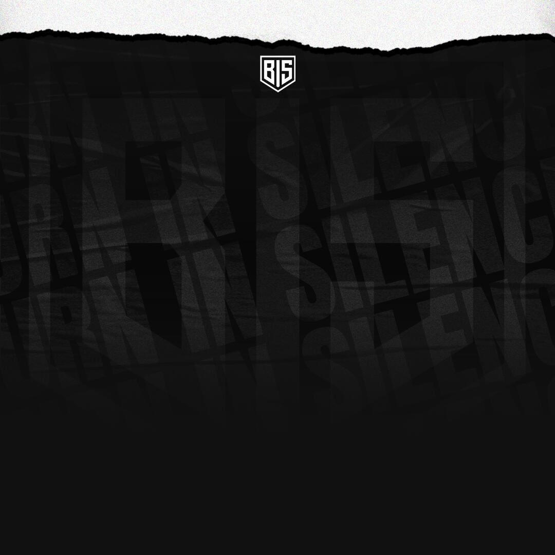 Discovery splash banner for BURN IN SILENCE Discord server