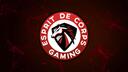 Discovery splash banner for Esprit De Corps Gaming Discord server
