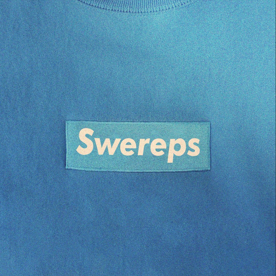 Discovery splash banner for SwedishReps Discord server
