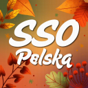 Discovery icon for Star Stable Online Polska Discord server