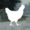 Discovery icon for Hen Development™ 🐔| BUY 1 • GET 1 FREE Discord server