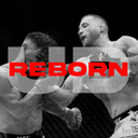 Discovery icon for UFC Undisputed Reborn Discord server