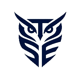 Discovery icon for TEAM SILENT ESPORTS Discord server