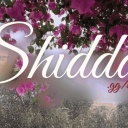 Discovery icon for Shiddat 🦋  || Socialize • Chilling • Hangout • Vc • Chatting Discord server