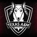 Discovery icon for Texas A&M Esports Discord server