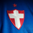 Discovery icon for Palmeiras Discord server